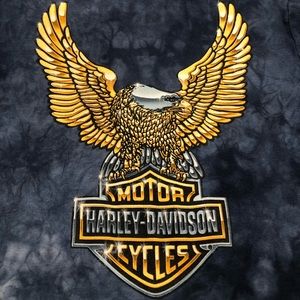 Vintage tie dye Harley Davidson tee